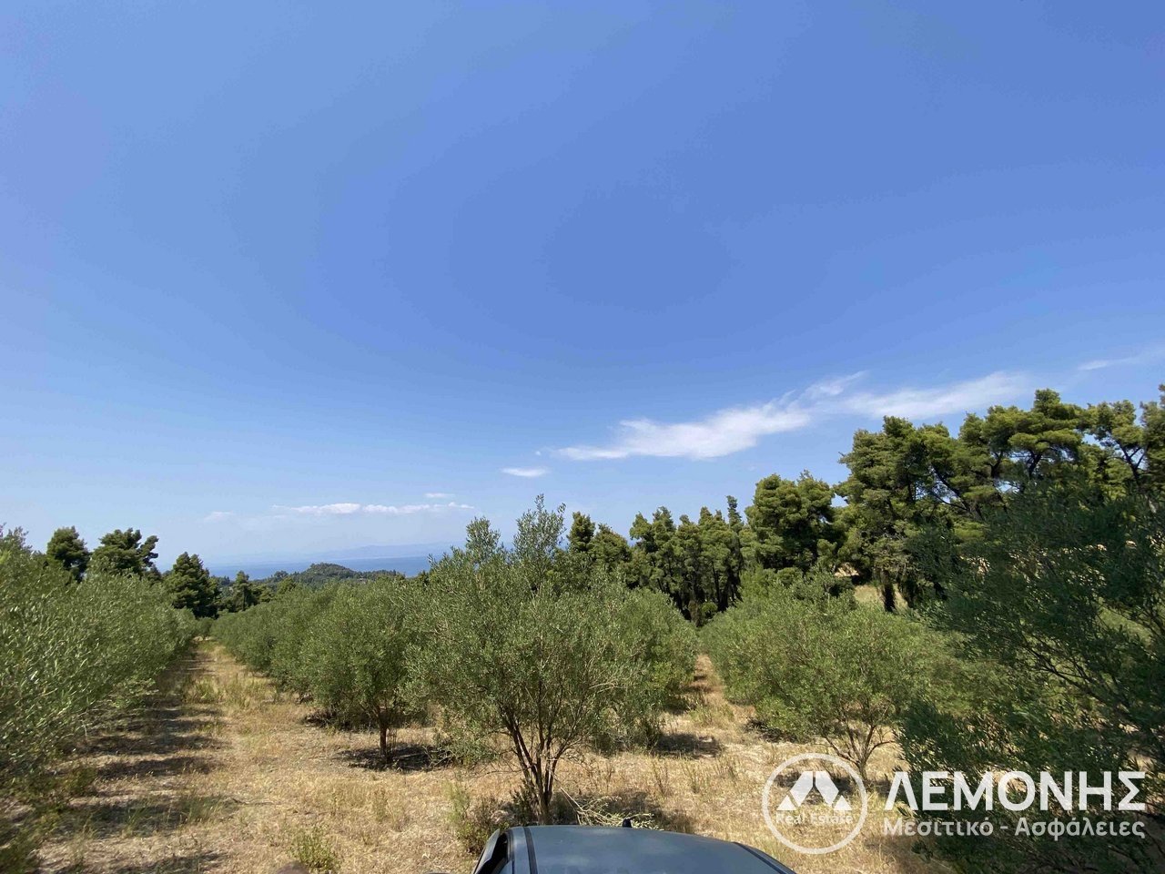 LAND for Sale - CHALKIDIKI 1ST FOOT